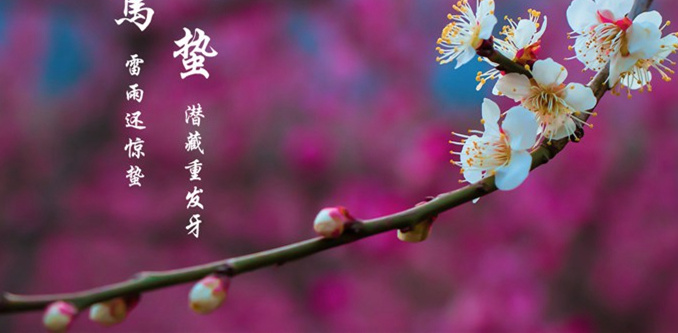 2018年鼻贴哪个牌子好？2018鼻贴品牌前十强_护肤技巧_美丽女人 黑头 毛孔 鼻头 第2张